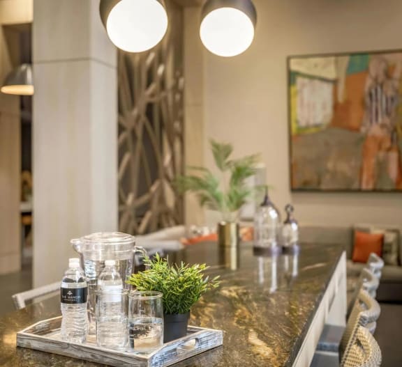 Lounge with Bar Seating