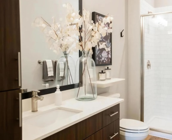 Large Showers with Glass Doors
