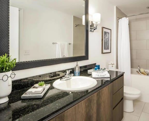 Spa Inspired Bathroom with Extra Counter Space