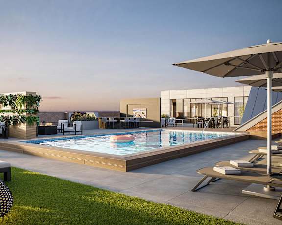 A modern outdoor pool area with lounge chairs and a hanging plant.