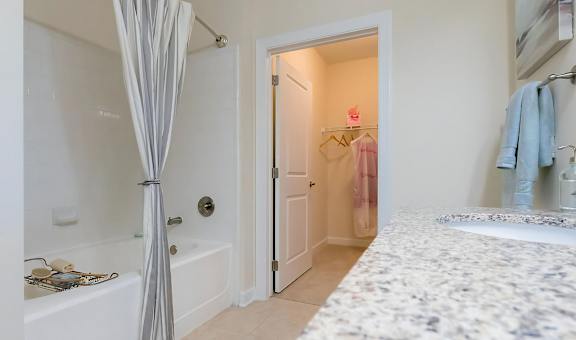 Roman Soaking Tub and Walk In Closet