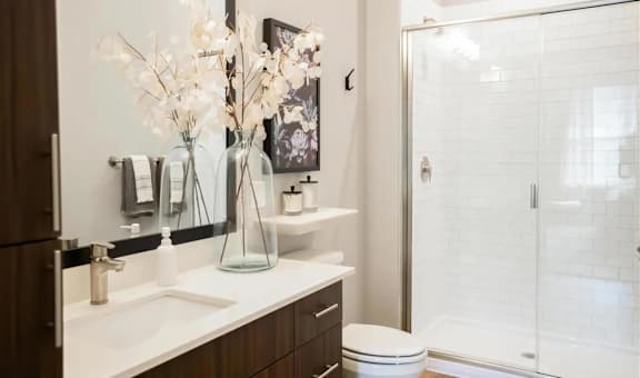 Large Showers with Glass Doors