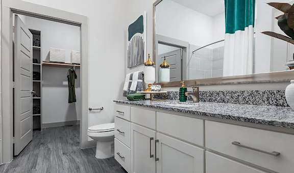 Gorgeous Bathroom with Connected Walk In Closet