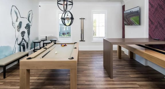 a games room with a pool table and a large painting of a dog at Amerige Pointe, California, 92833