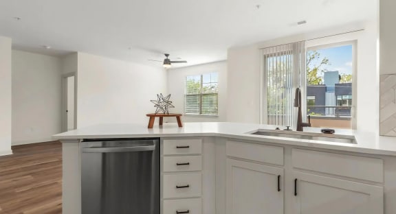Kitchen with Stainless Steel Dishwasher