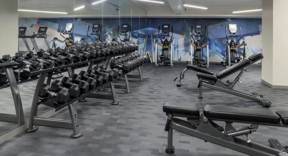 Studio with Free Weights