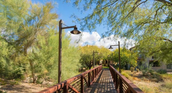 Nearby Walking Trails