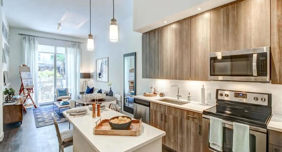 Open Concept Kitchen and Living Areas