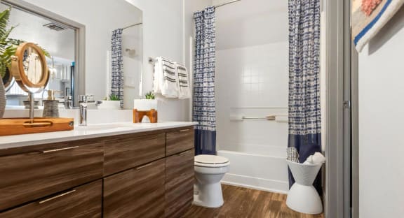 Luxury Bathrooms with Oversized Soaking Tubs