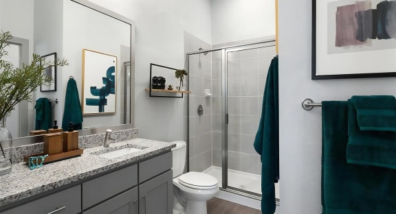 Spa Inspired Master Bathrooms with High End Finishes