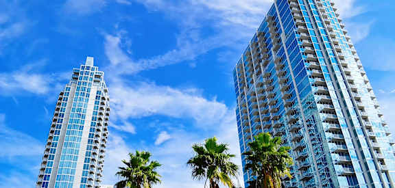 Blue Skies with Palm Trees in Tampa
