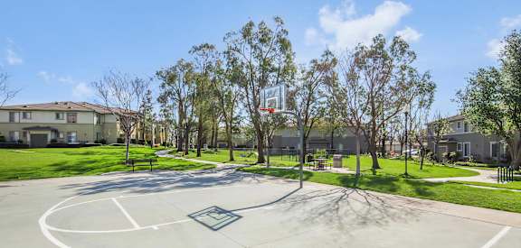 Outdoor Basketball Court Onsite