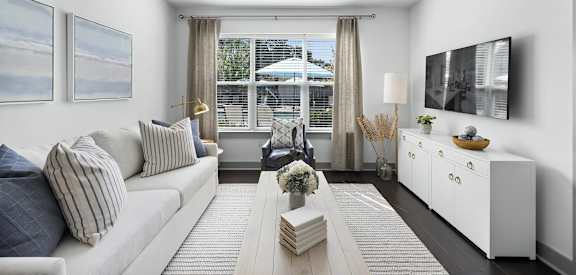Living Room with Ample Natural Light