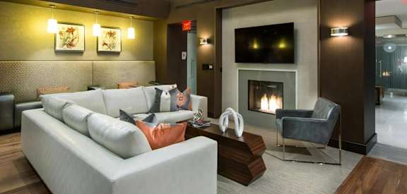 Lounge with TV and Fireplace