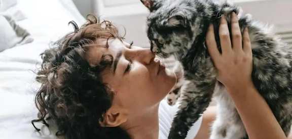 Cat Being Held By Owner