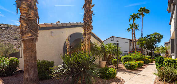 a sidewalk with palm trees in front of a building