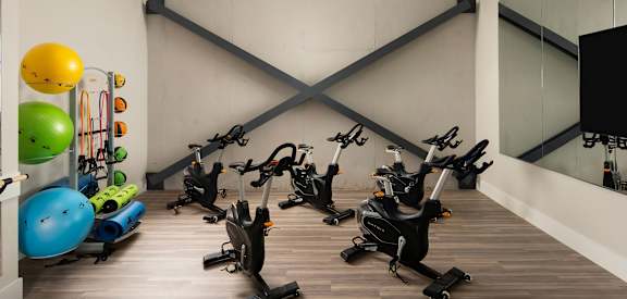 Fitness Studio with Cardio Equipment