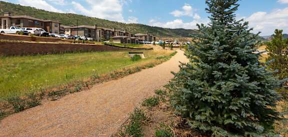Hiking Trails Nearby