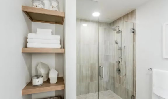 Walk In Showers and Built In Shelves