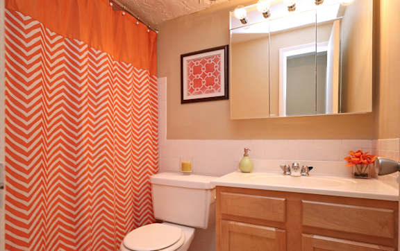 Spacious Bathroom at Water's Edge Apartments in Euclid, OH