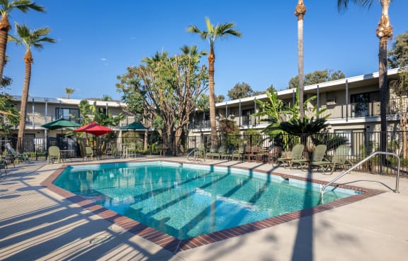 a swimming pool with palm trees and a building in the background