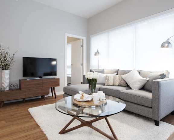 a living room with a couch and a coffee table and a television