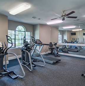 A gym with treadmills, elliptical machines, and a fan.