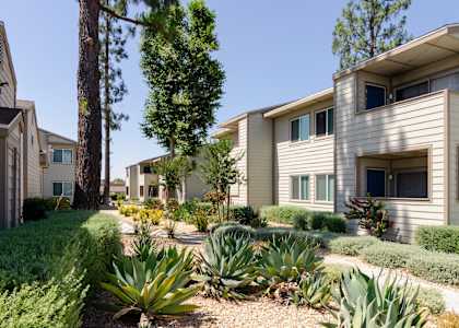 a group of apartment buildings with a landscaped yard at Aspire Rialto, Rialto, CA