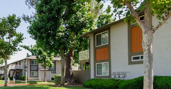 our apartments have a spacious yard with trees and grass at Aspire Redlands, California, 92374