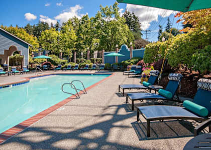A poolside area with sun loungers and a swimming pool.