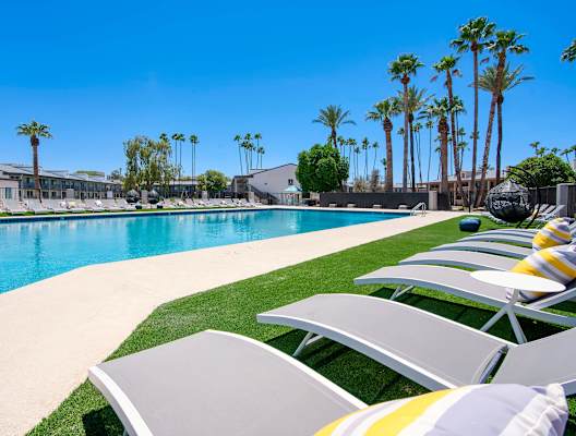 A pool surrounded by palm trees and lounge chairs at Presidio Palms Apartments, Tucson