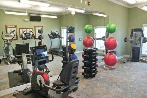 a gym with exercise equipment and a large ball on the ceiling at Mariposa at Bay Colony, Dickinson, TX 77539