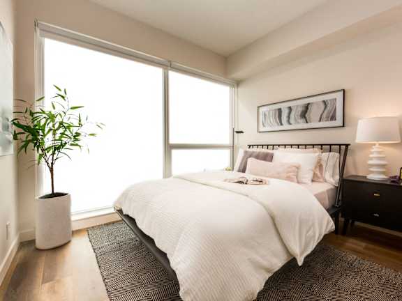 A bedroom with a large bed and a plant on the side table.