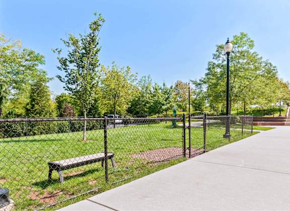 A park with a bench and a fence.