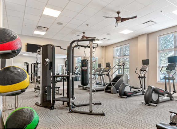 A gym with a variety of equipment including treadmills, stationary bikes, and weight machines.