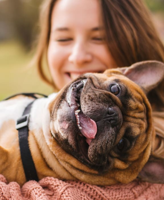 a girl playing with dog at Pearce at Pavilion Luxury Apartments, Riverview, FL, Florida