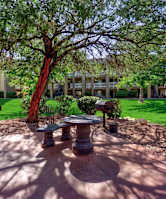 A pathway with trees and grass in front of a building.