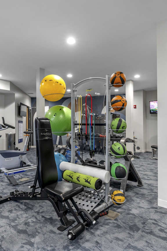 Fitness Center at Avant at the Arboretum, Illinois 60532