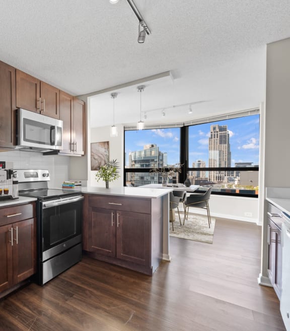 Luxurious Finishes at North Harbor Tower in Chicago, Illinois 60601