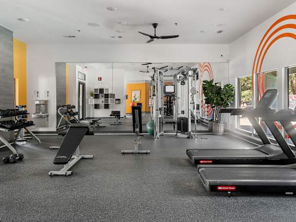 A gym with treadmills, weights, and exercise equipment.