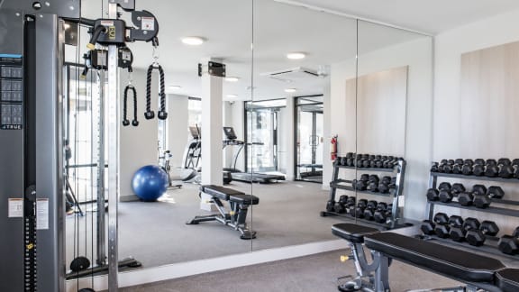 a gym with weights and mirrors and a blue ball
