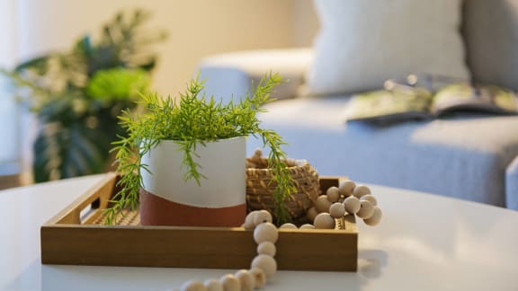 a tray with a plant on a table in a living room