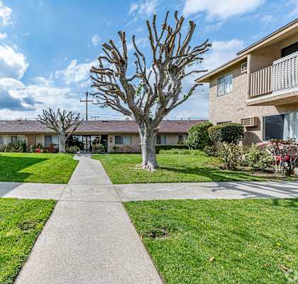 a walkway between two apartment buildings with grass and trees at Colima Terrace Apts, Rowland Heights, CA