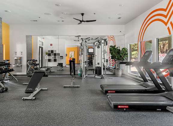A gym with treadmills, weights, and exercise equipment.