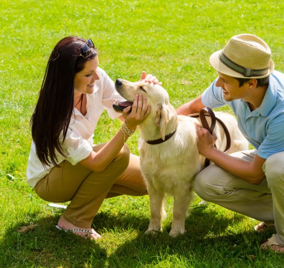 Pet friendly community at The Garrison, Fountain