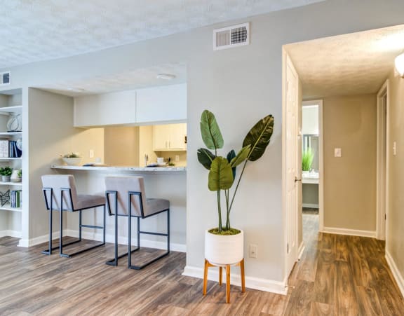 a living room with a kitchen and a potted plant at Glen Hollow, Decatur, GA, 30034