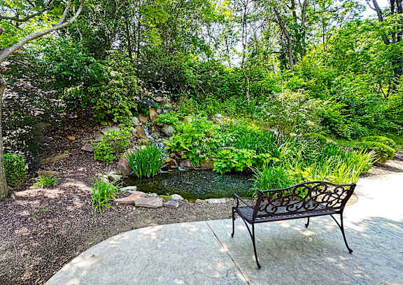 A bench is in front of a waterfall in a garden.