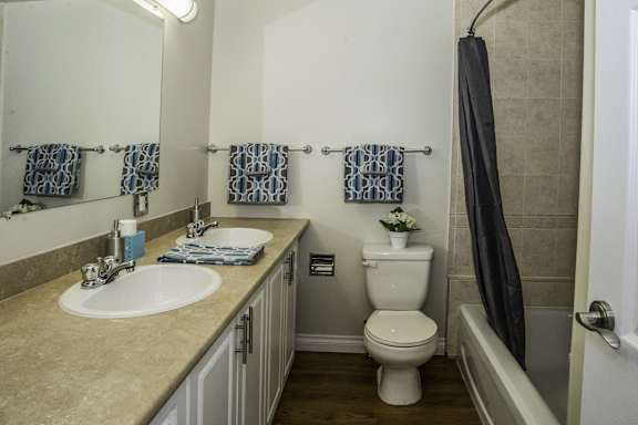 a bathroom with a toilet and a sink and a shower