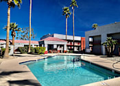 Thumbnail 4 of 8 - A pool surrounded by palm trees and a building.