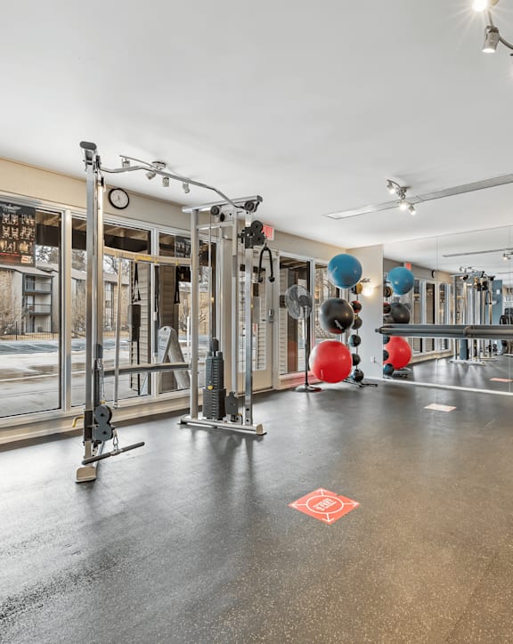 A gym with a variety of equipment including a squat rack, a bench, and a barbell.